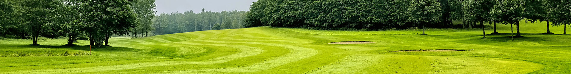 A panoramic view of a serene golf course with lush green grass and rolling hills under an overcast sky.